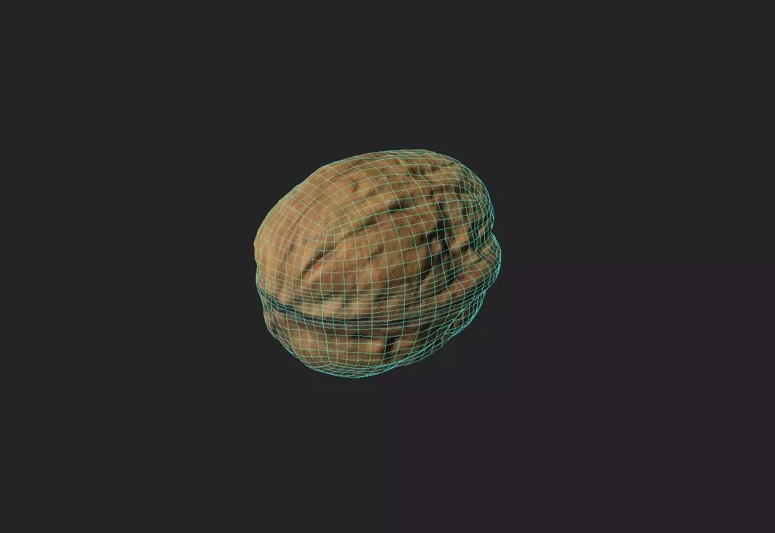 Walnut M11 Low-poly 3D model_1