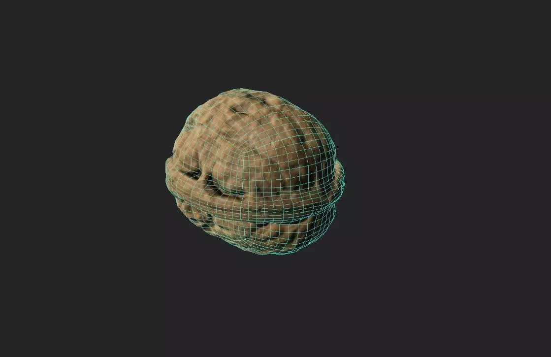 Walnut M14 Low-poly 3D model_6