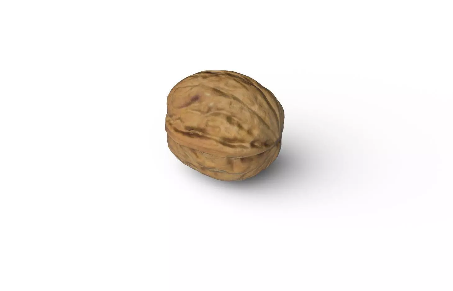 Walnut M17 Low-poly 3D model_4