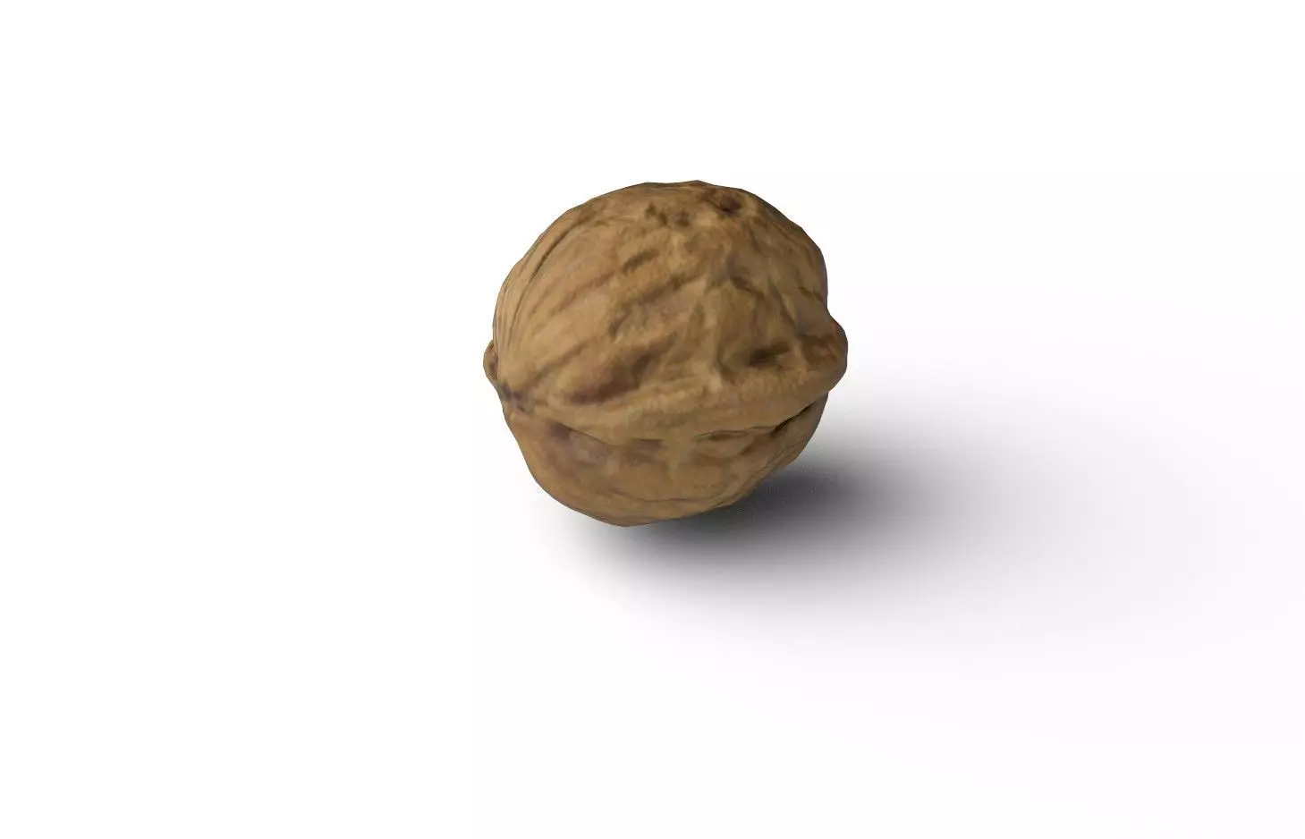 Walnut M17 Low-poly 3D model_5