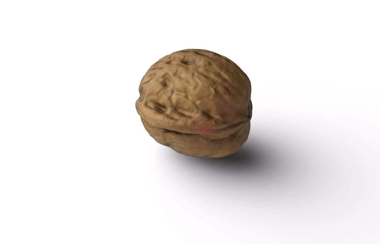 Walnut M17 Low-poly 3D model_6