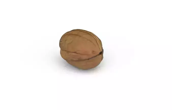 Walnut M19 Low-poly 3D model 5
