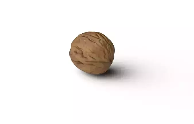Walnut M19 Low-poly 3D model 7