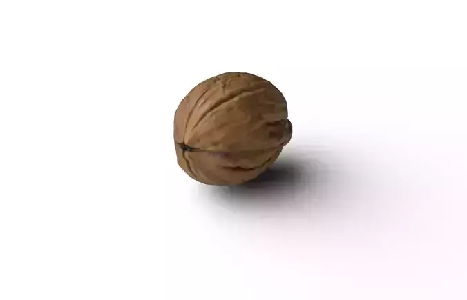 Walnut M19 Low-poly 3D model 6