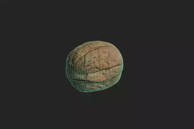 Walnut M19 Low-poly 3D model 2