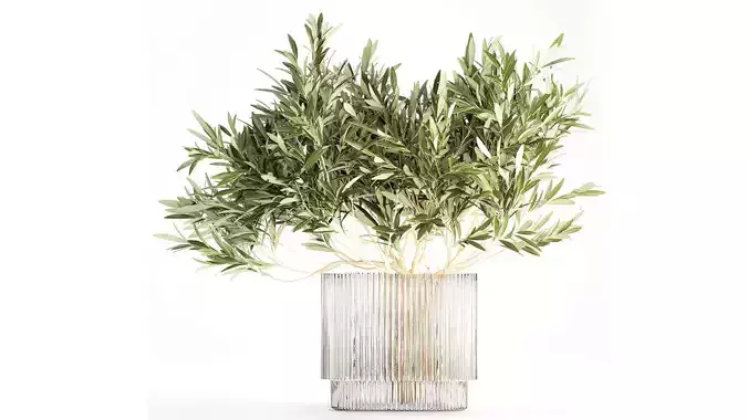 Bouquet Decorated Olive Branches Glass Vase Decor 641