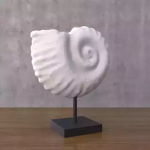 Plaster figure of seashells 3D model