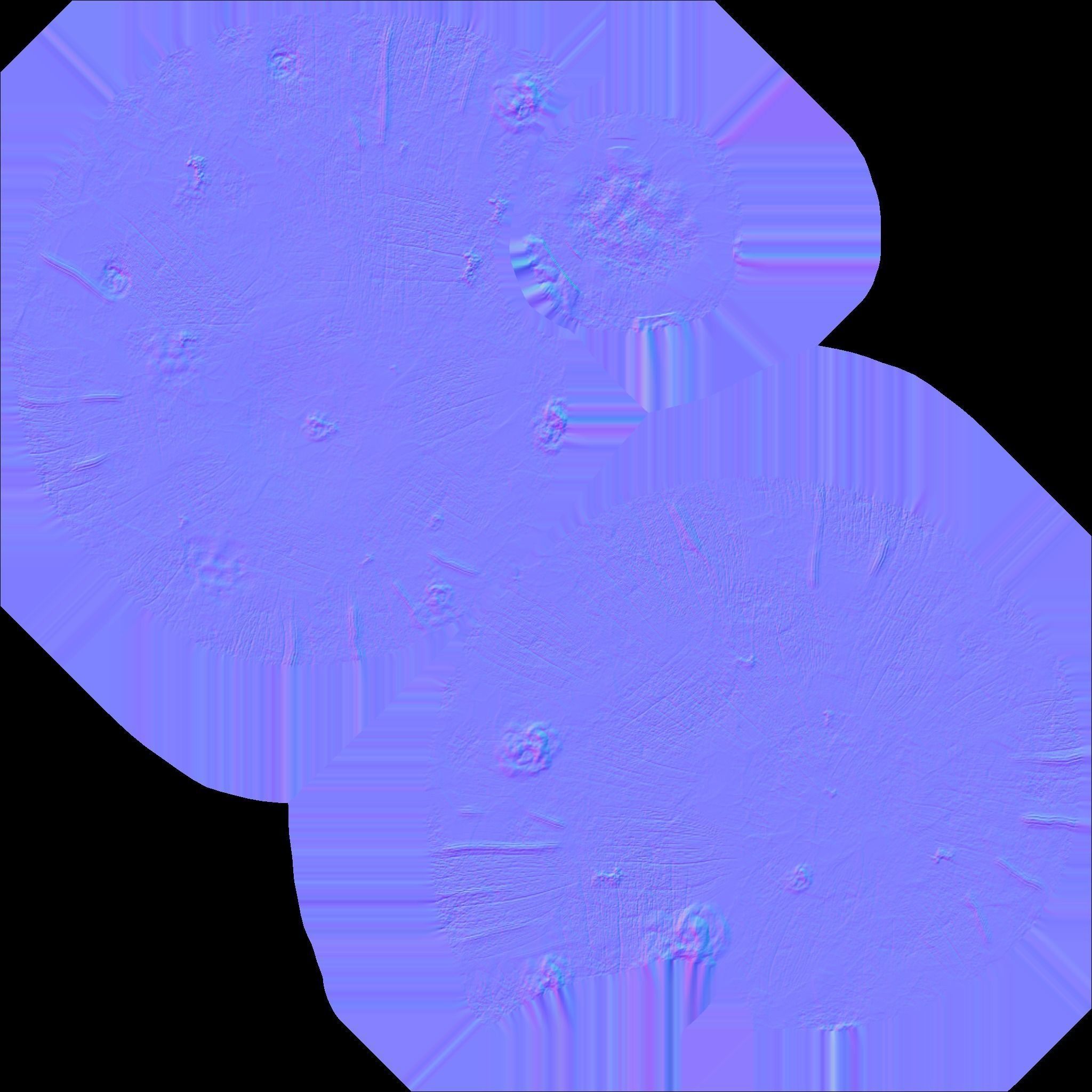 Plaster figure of seashells 3D model_3