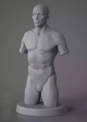 MALE TORSO - 3DPRINTABLE MODEL
