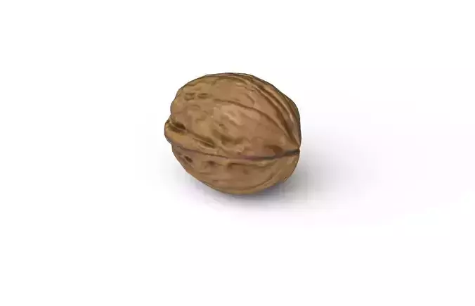 Walnut M15 Low-poly 3D model 4