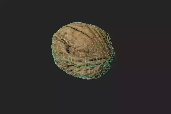 Walnut M15 Low-poly 3D model 7
