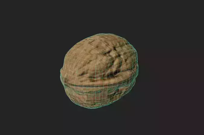 Walnut M15 Low-poly 3D model 2