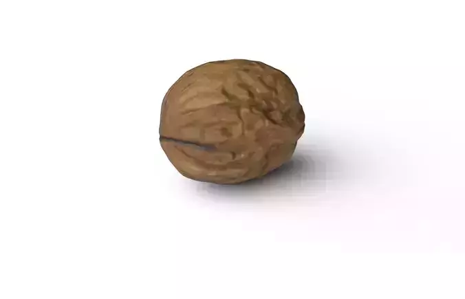 Walnut M15 Low-poly 3D model 5