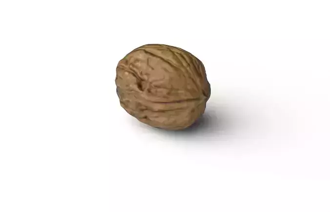 Walnut M15 Low-poly 3D model 6