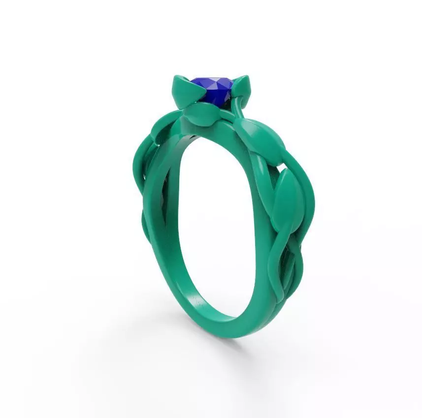 Nice ring 002 3D print model_3