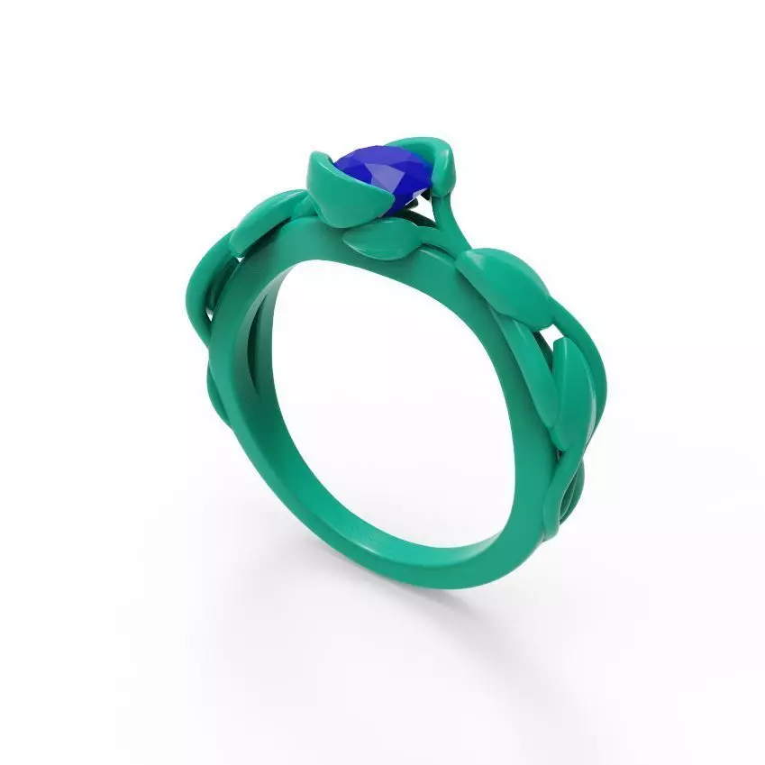 Nice ring 002 3D print model_1