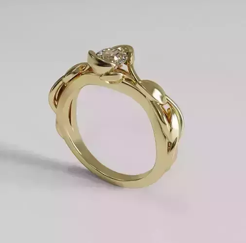 Nice ring 002