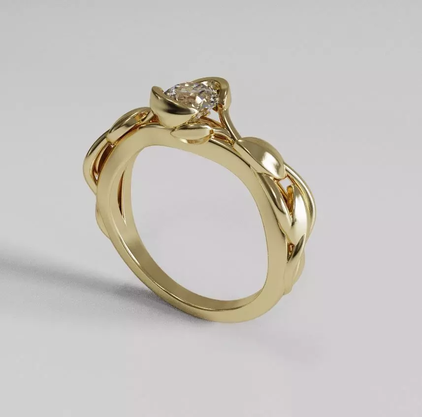 Nice ring 002 3D print model_0