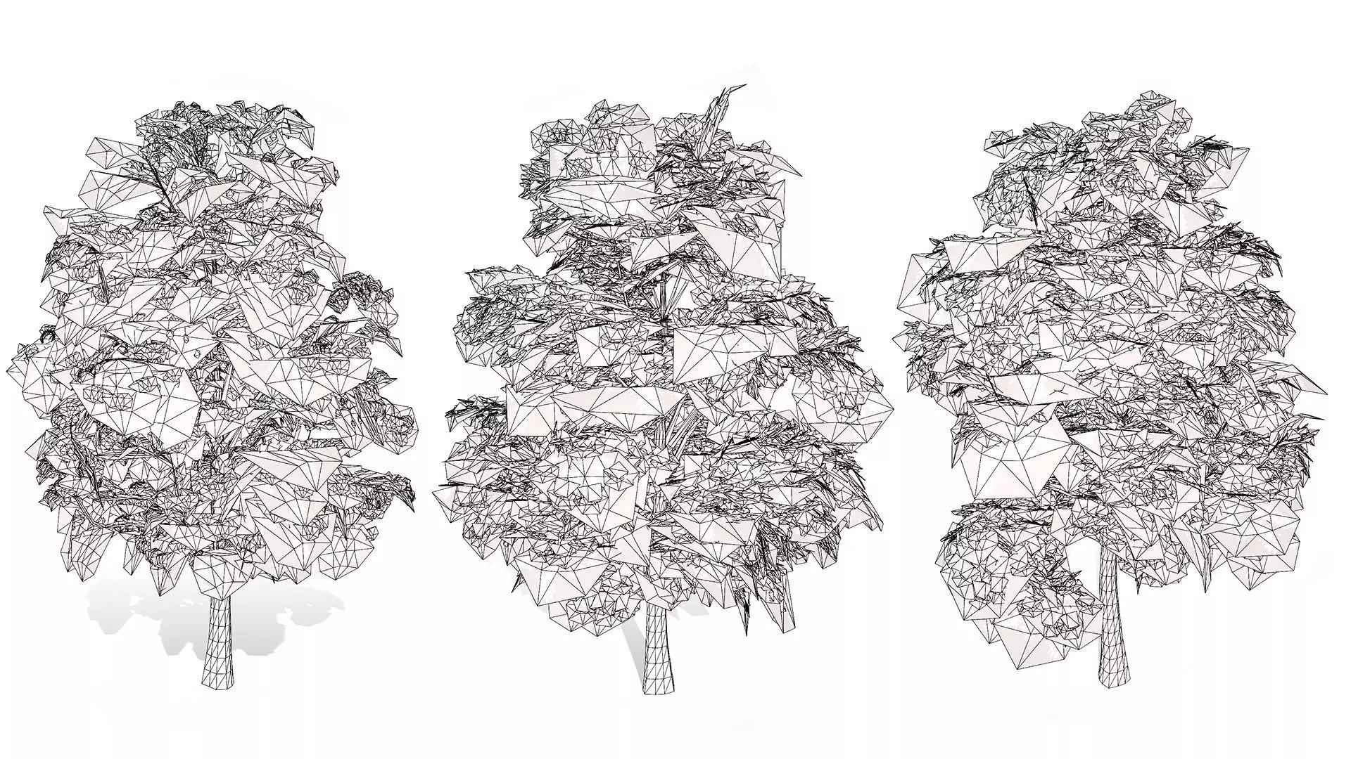 British Sycamore Tree 3D Model Low-poly 3D model_10