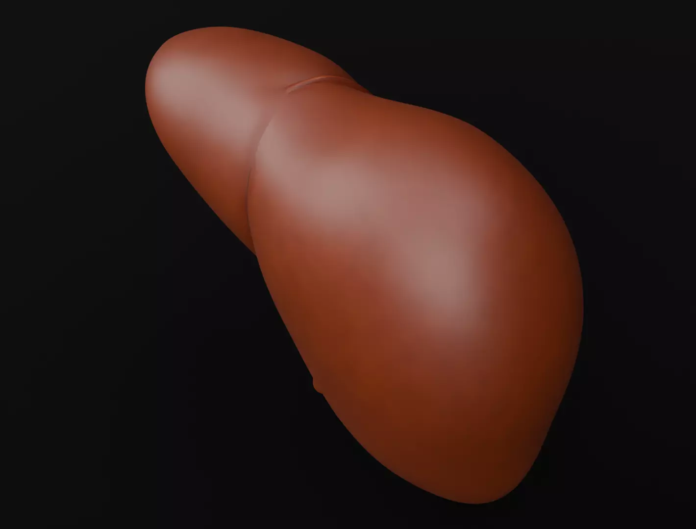 Human Liver 3D Model for 3D Printing Anatomical Organ 3D print model_6