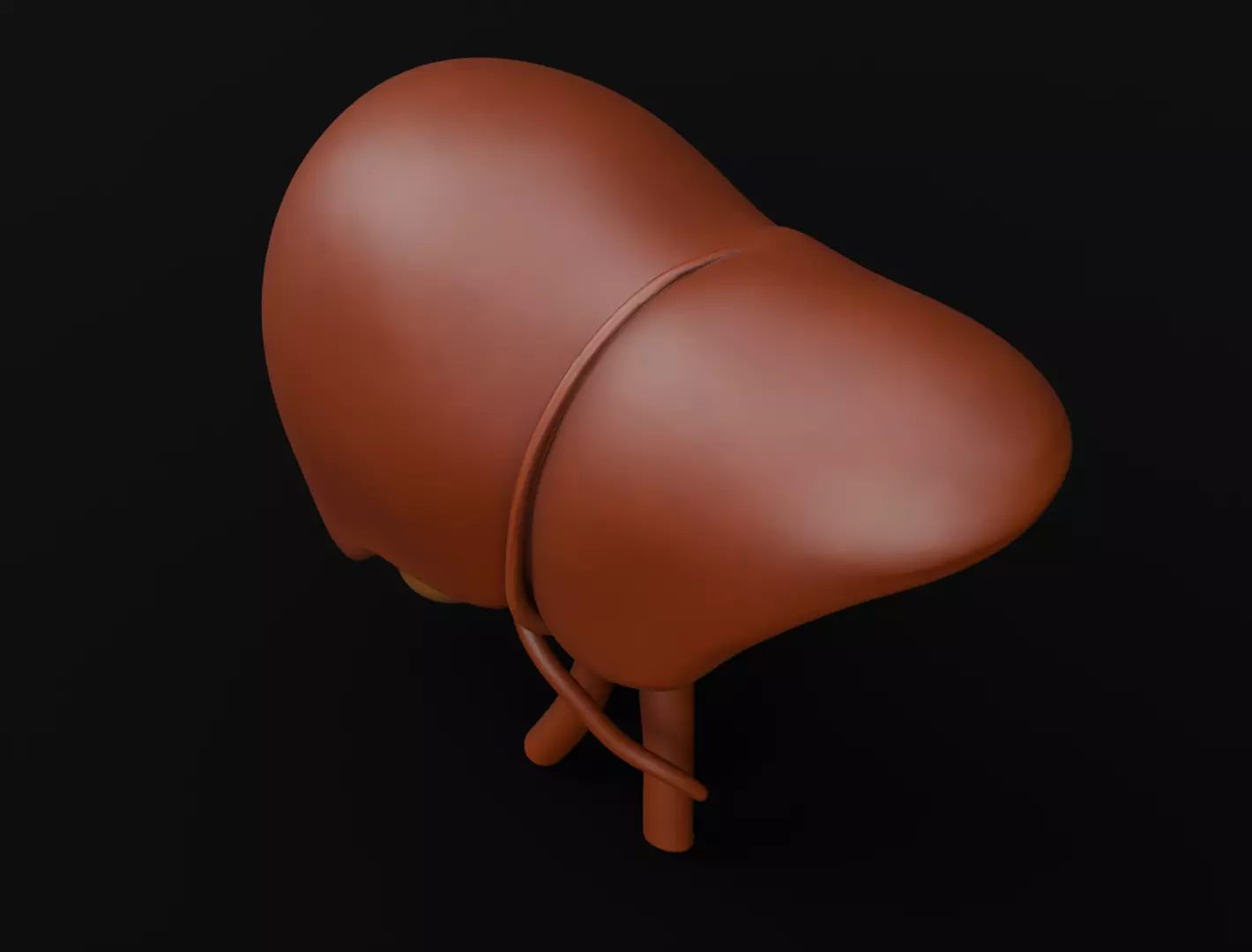 Human Liver 3D Model for 3D Printing Anatomical Organ 3D print model_8