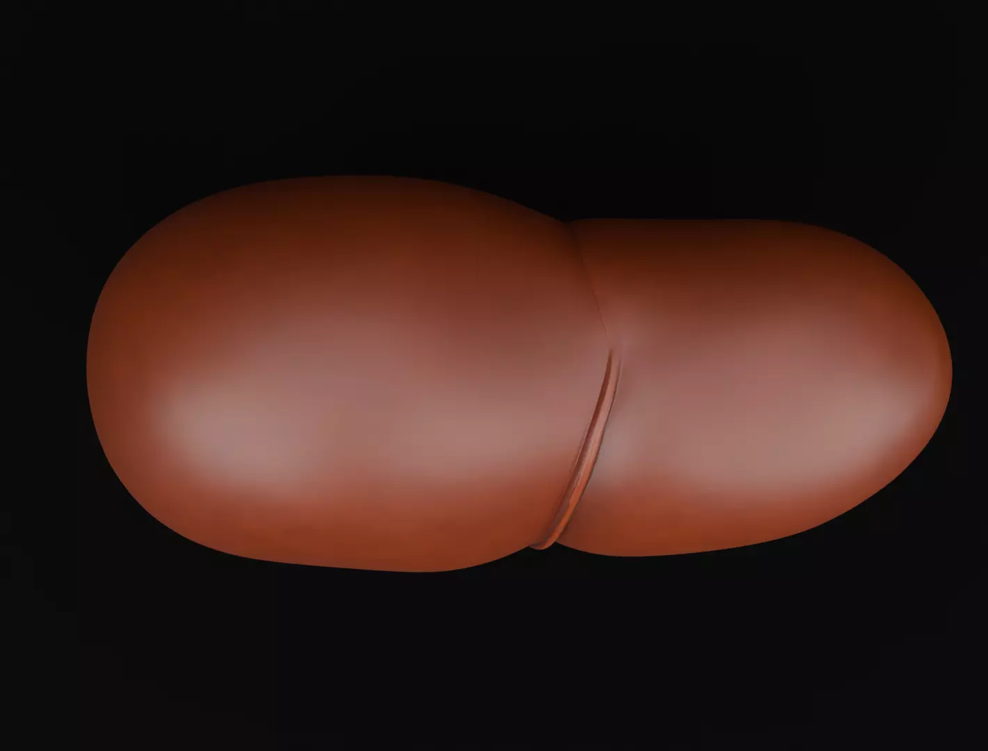 Human Liver 3D Model for 3D Printing Anatomical Organ 3D print model_2