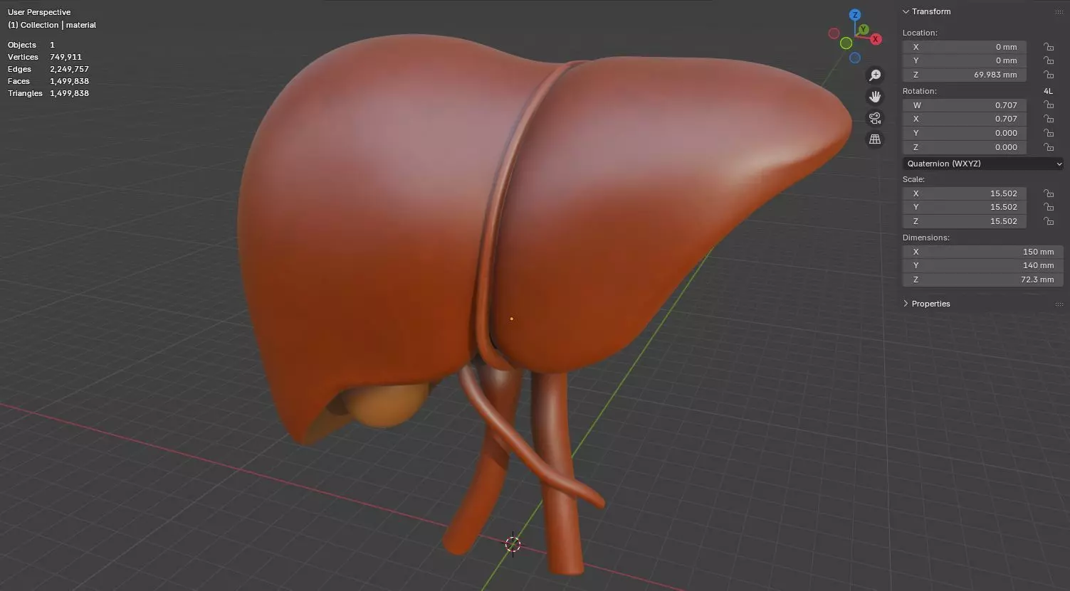Human Liver 3D Model for 3D Printing Anatomical Organ 3D print model_17