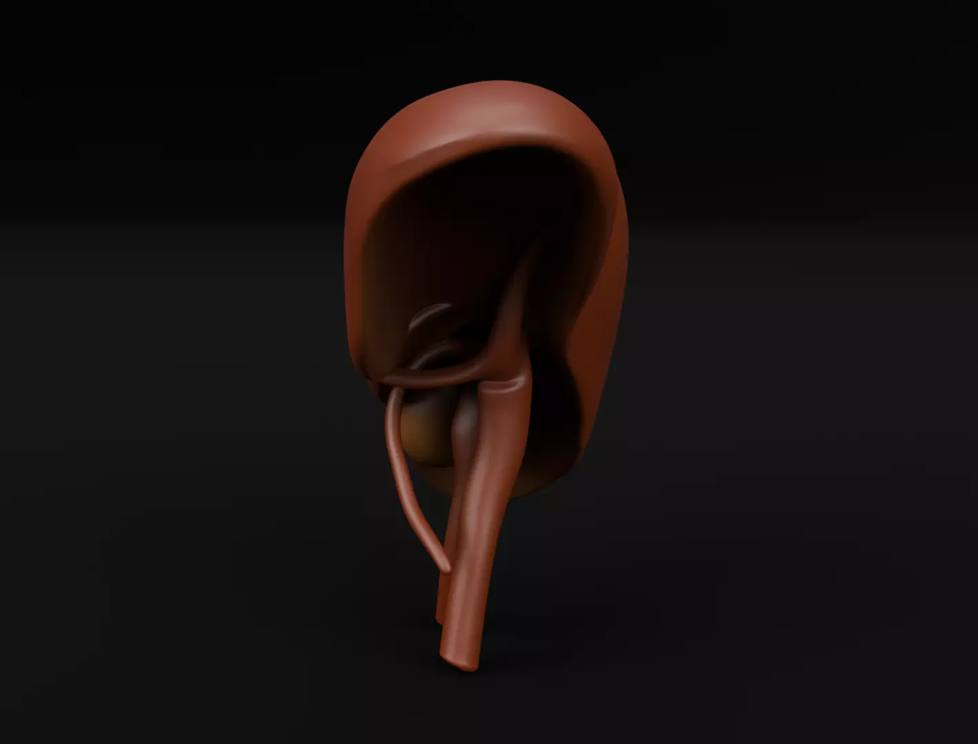 Human Liver 3D Model for 3D Printing Anatomical Organ 3D print model_4