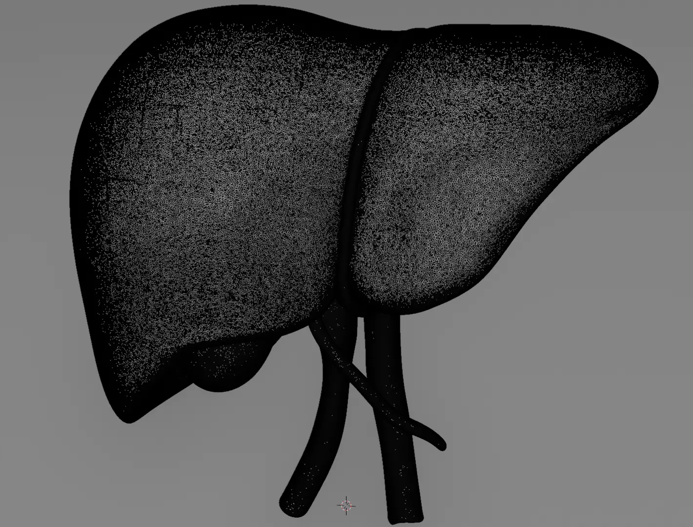 Human Liver 3D Model for 3D Printing Anatomical Organ 3D print model_10