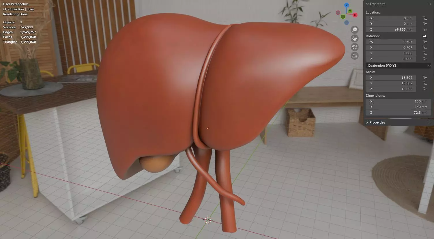 Human Liver 3D Model for 3D Printing Anatomical Organ 3D print model_18