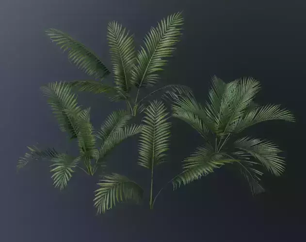 A compact and realistic small palm bush