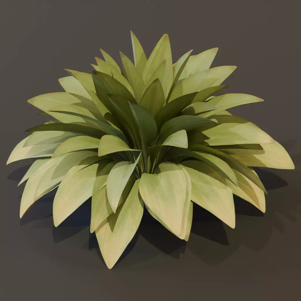 The Haran Bush 3D model_1