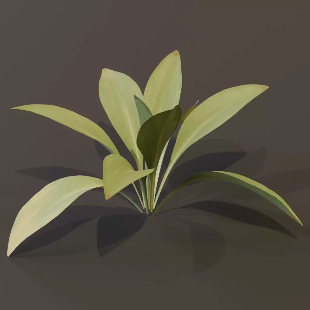 The Haran Bush 3D model_2