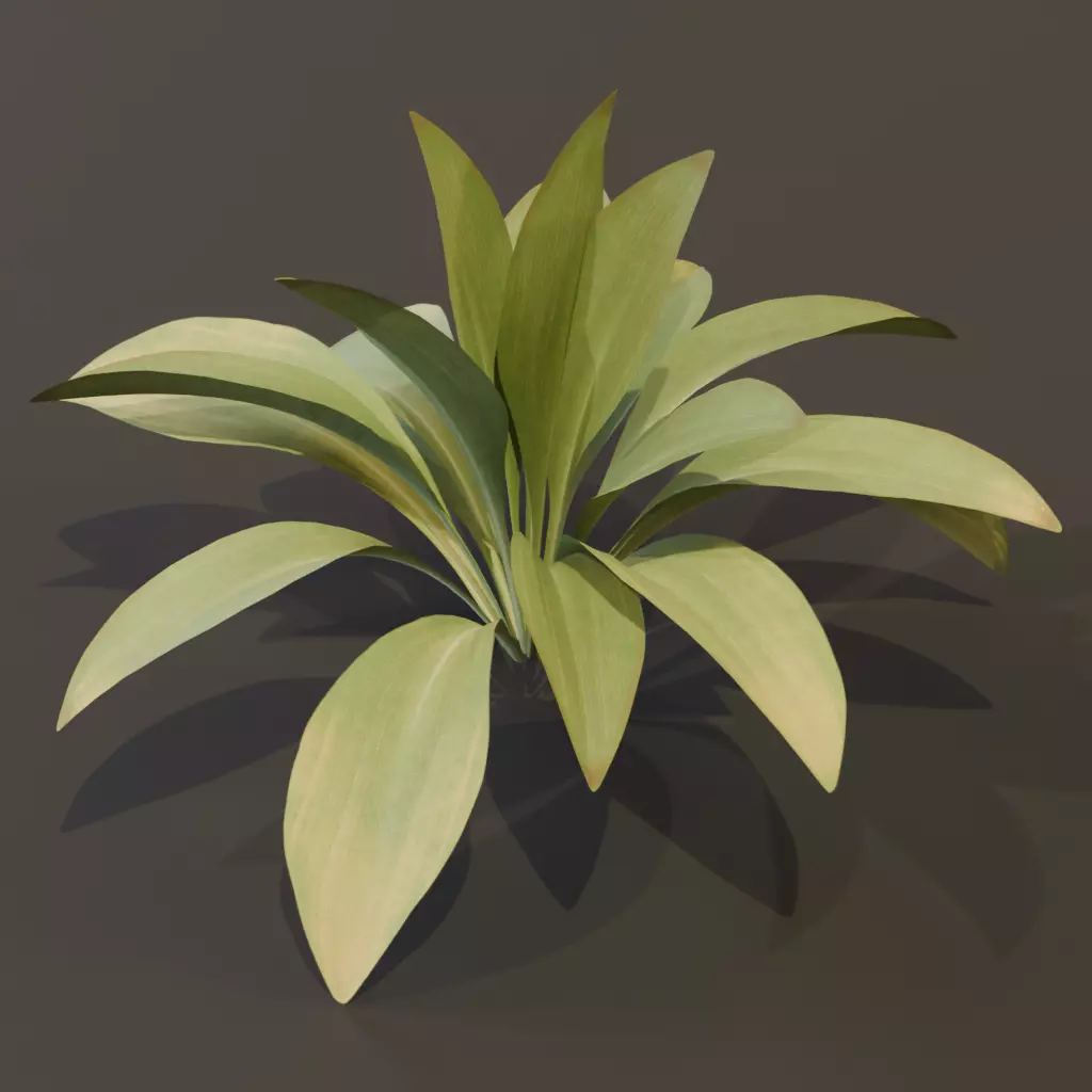 The Haran Bush 3D model_4