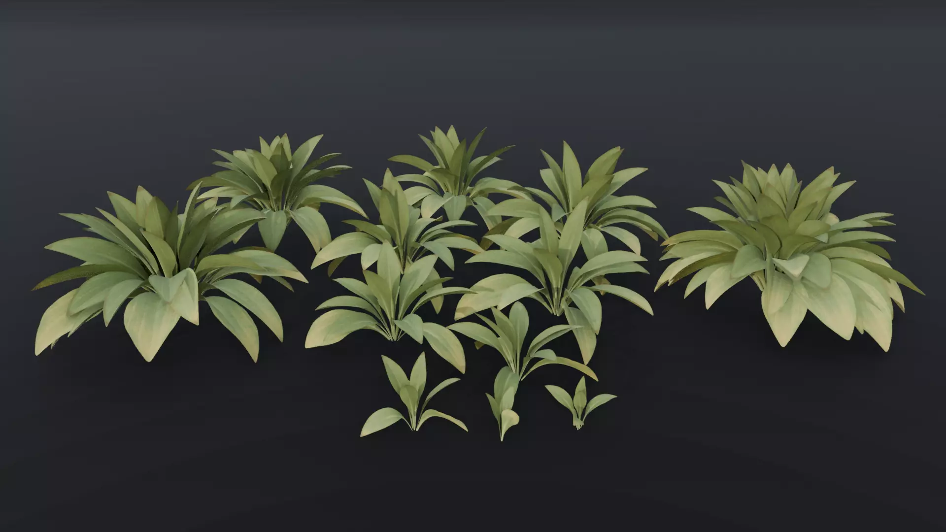 The Haran Bush 3D model_5