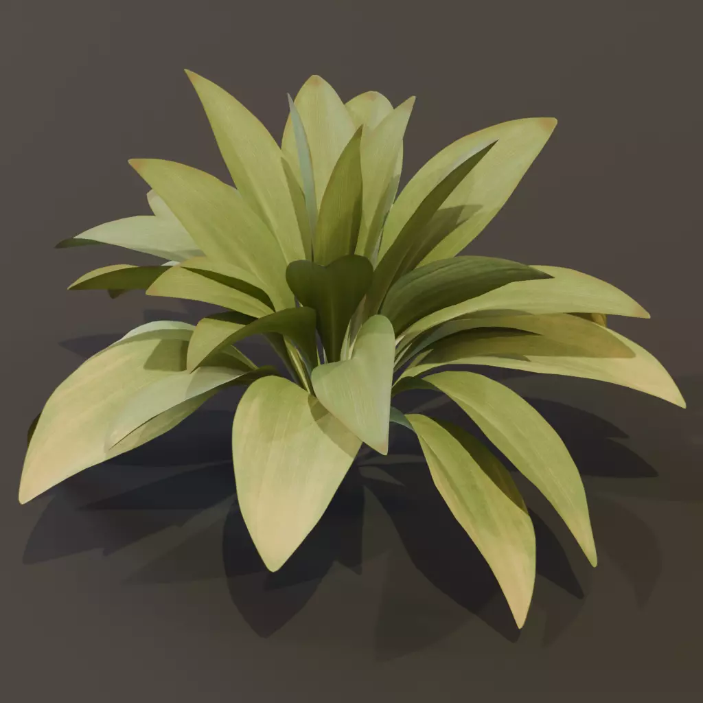 The Haran Bush 3D model_3