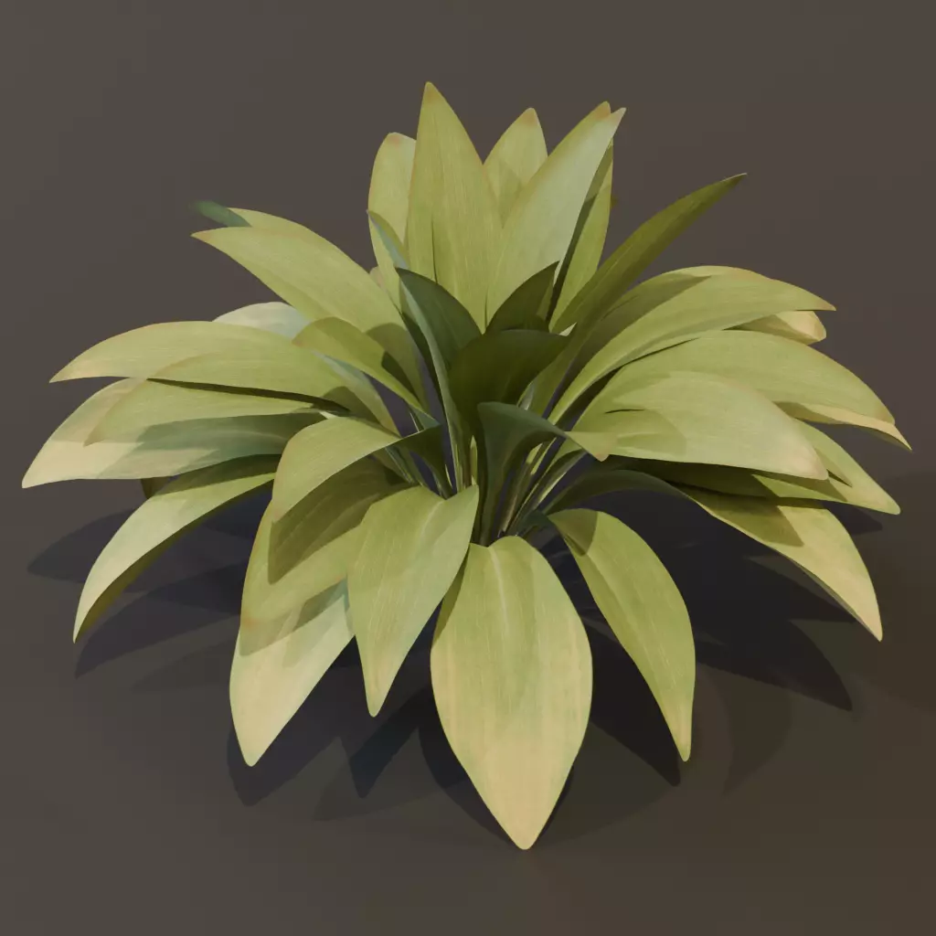 The Haran Bush 3D model_0