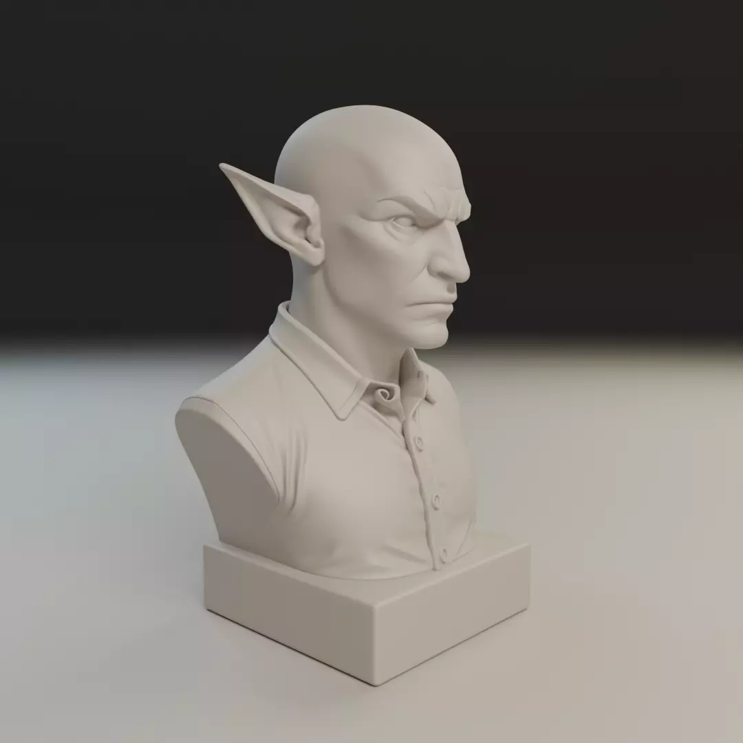 modern elf bust 3D print model_12