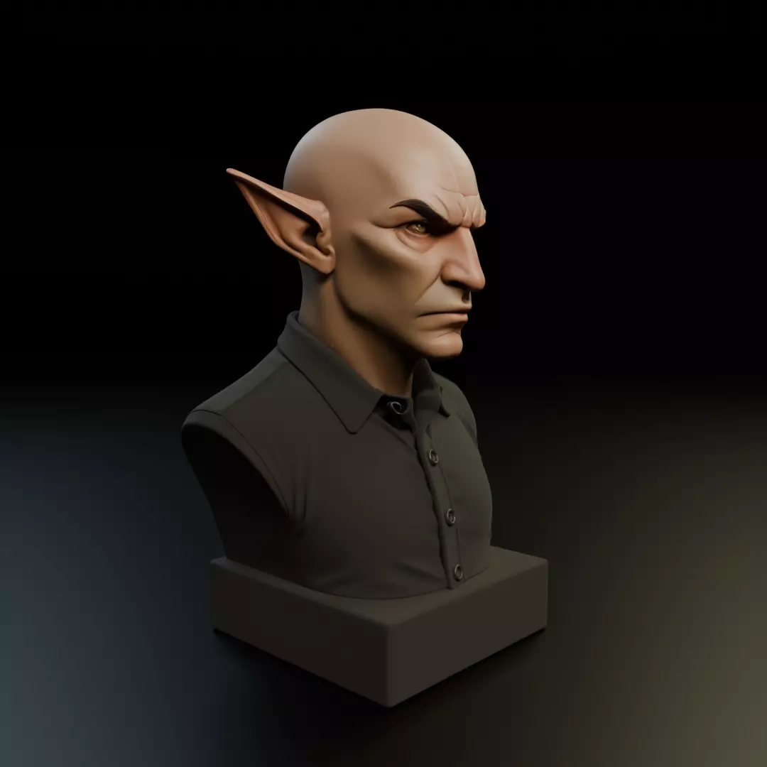 modern elf bust 3D print model_11