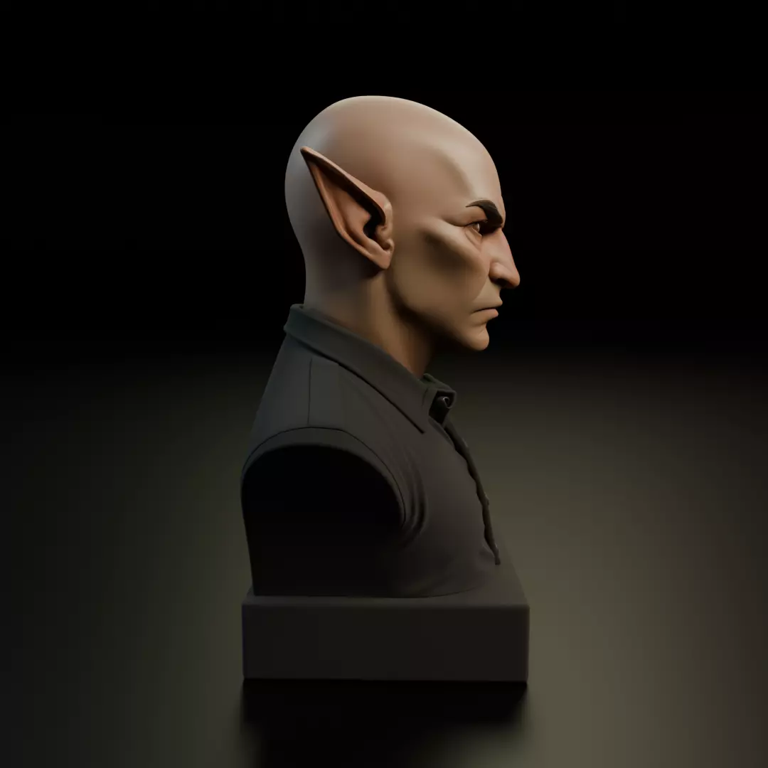 modern elf bust 3D print model_1