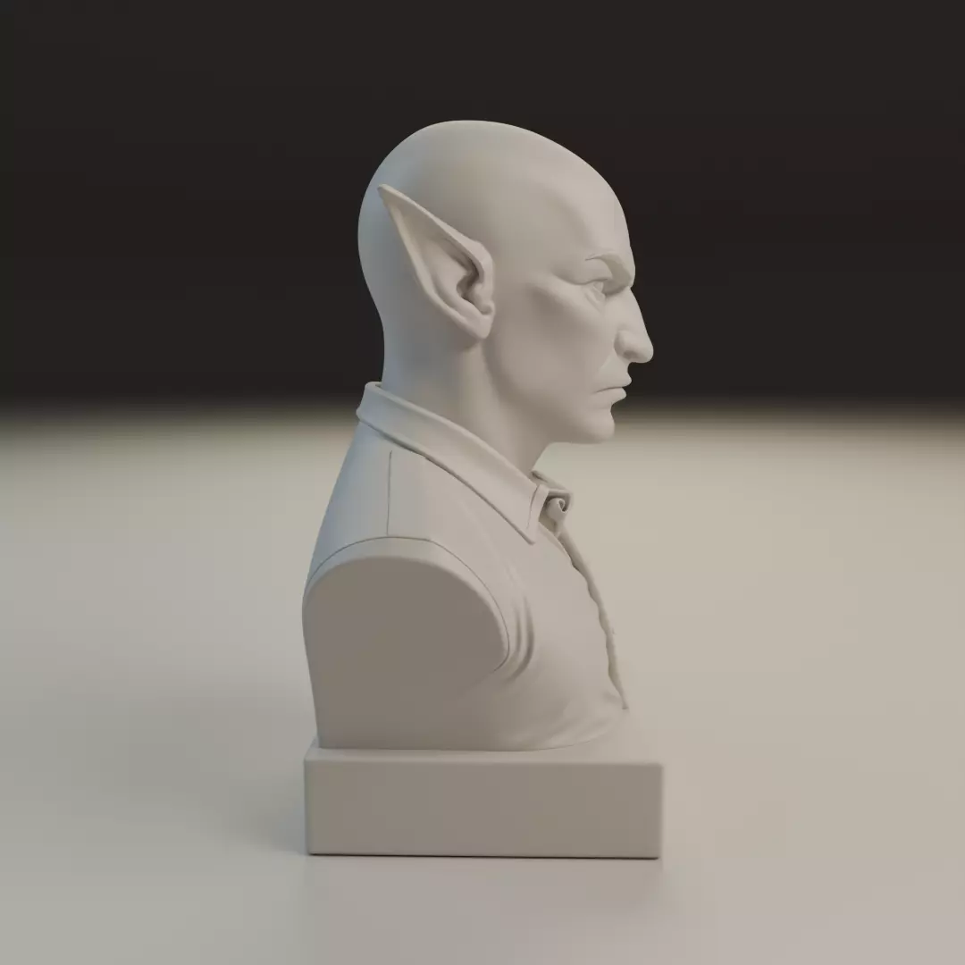 modern elf bust 3D print model_2