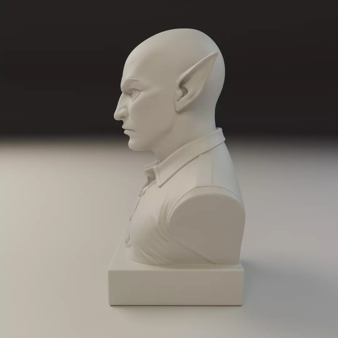 modern elf bust 3D print model_4