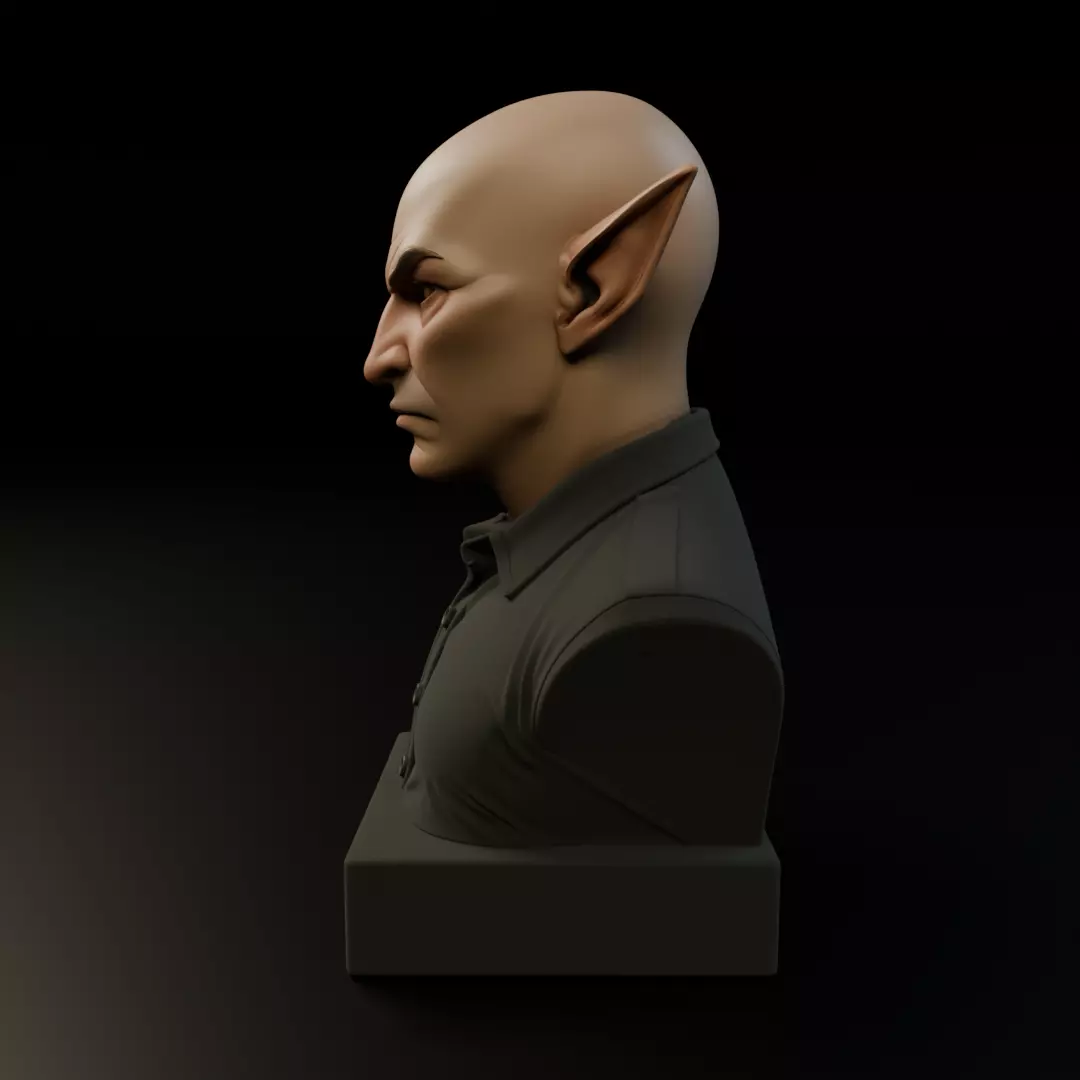 modern elf bust 3D print model_3