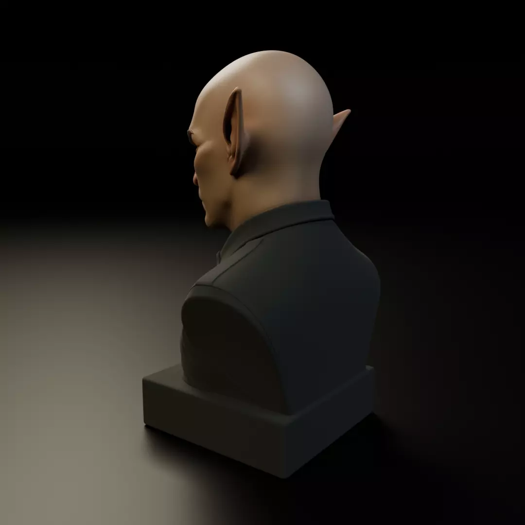 modern elf bust 3D print model_7