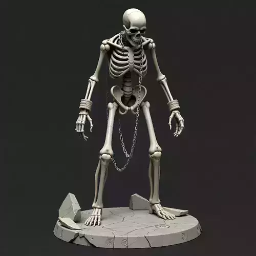 Skeleton 26