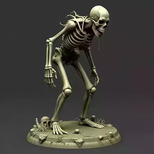 Skeleton 13
