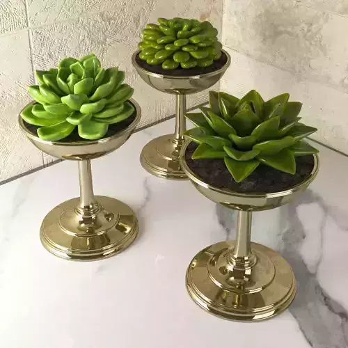 Succulents three gold planters with on marble countertop 3D model