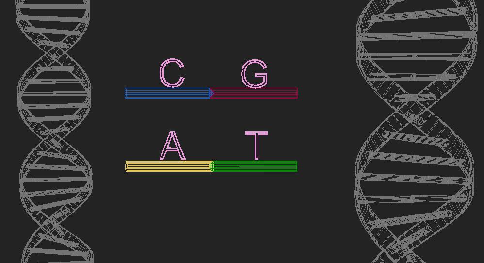 DNA Strand 3D model_1
