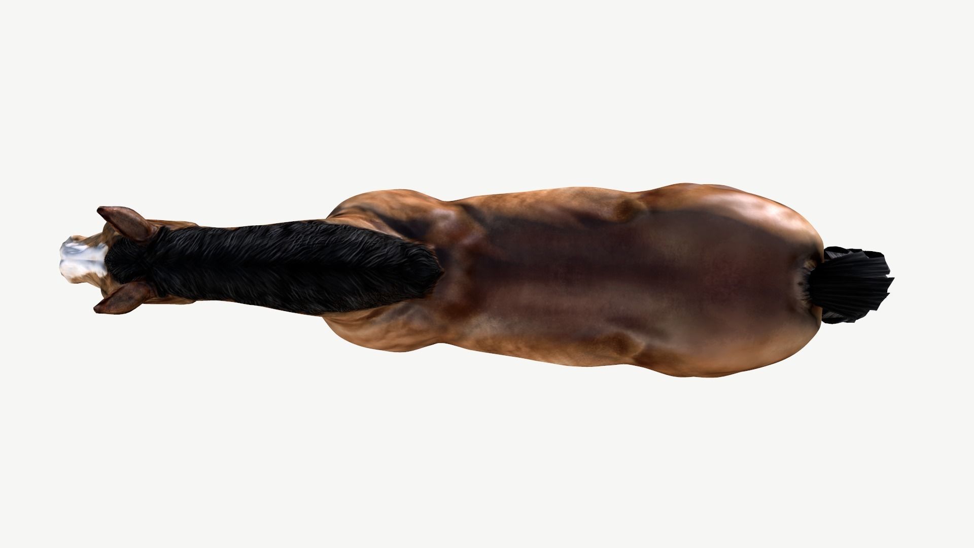 Horse Low-poly 3D model_6