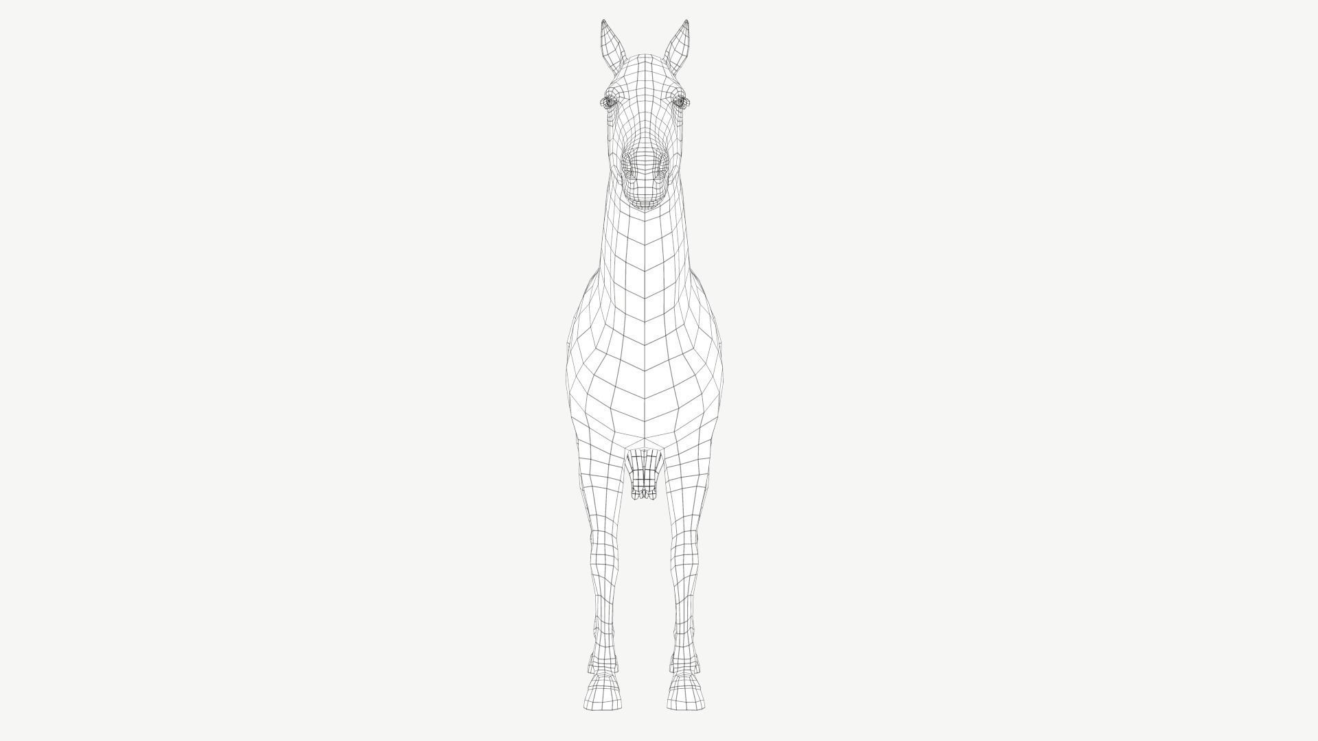 Horse Low-poly 3D model_9